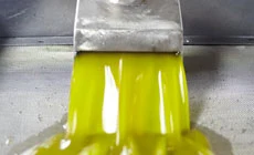 Pressung