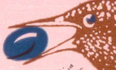 Quincentenary