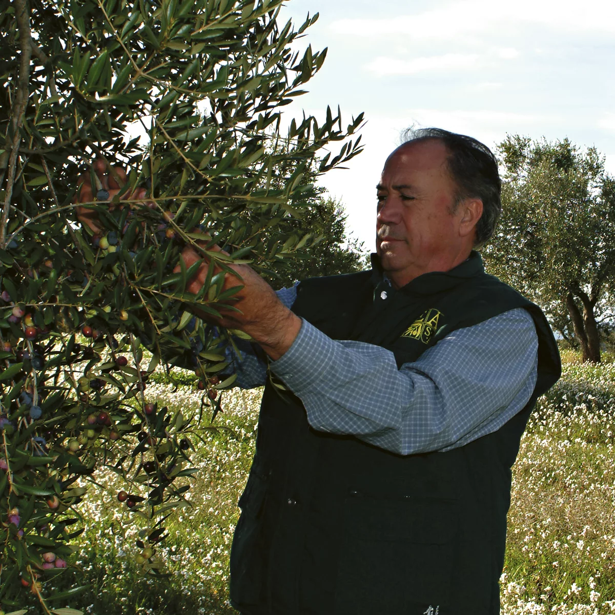 THE "TERROIR" & CLIMATE